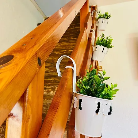 빌라 Stella - Private House With Parking Spot, Pool And Sea View