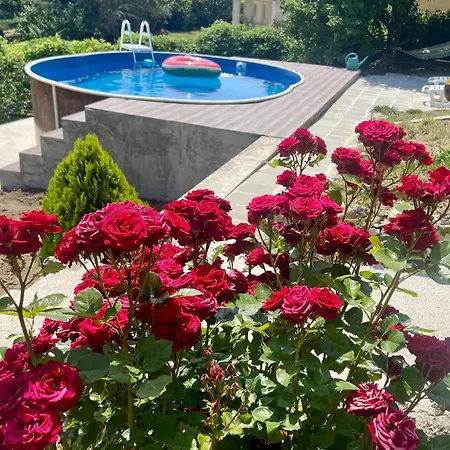 빌라 Stella - Private House With Parking Spot, Pool And Sea View